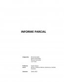 Políticas Públicas, Resiliencia y Cambio Climático
