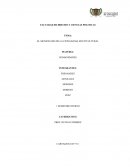 EL SIGNIFICADO DE LA CIUDADANIA MULTICULTURAL