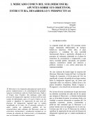 MERCADO COMUN DEL SUR (MERCOSUR):