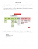 PERFIL DE UN GERENTE DE RR. HH EN LA EMPRESA ALICORP