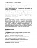 DESARROLLO SOSTENIBLE