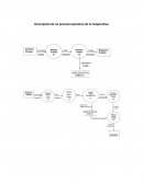 Descripción de un proceso operativo de la Cooperativa