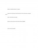 Cálculo del costo de producción. Foro de construcción y entrega de archivo