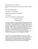 PRINCIPIOS PARA EL DESARROLLO DE OPERACIONES POLICIALES