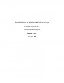 Introducción a la Administración Estratégica. “SUPERMERCADO LIDER”