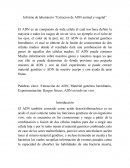 Informe de laboratorio:”Extracion de ADN animal y vegetal”