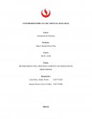 MEJORAMIENTO DEL PROCESO LOGISTICO DE DESPACHO DE MERCADERIA