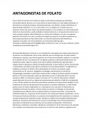 ANTAGONISTAS DE FOLATO