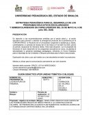 ESTRATEGIA PEDAGÓGICA PARA EL DESARROLLO DE LOS PROGRAMAS EDUCATIVOS ESCOLARIZADOS