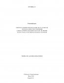 TEORÍA DE LAS ORGANIZACIONES. BANCO DE LAS MICROFINANZAS BANCAMÍA S.A