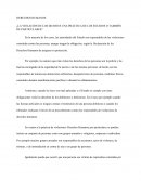 DERECHOS HUMANOS ¿LA VIOLACIÓN DE LOS DD.HH ES UNA PRÁCTICA DE LOS ESTADOS O TAMBIÉN DE PARTICULARES?
