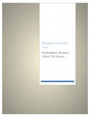 Mi historia. Vivimos en un multiuniverso