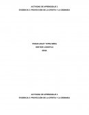 EVIDENCIA 5: PROYECCIÓN DE LA OFERTA Y LA DEMANDA