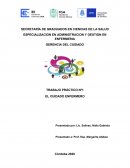 TRABAJO PRÁCTICO Nº1 EL CUIDADO ENFERMERO