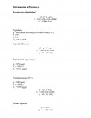 Determinación de Parámetros Energía neta absorbida q’’