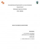 ENSAYO DISEÑO DE REVESTIDORES