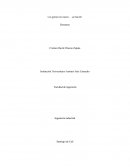 Resumen de Los genios no nacen... ¡se hacen!