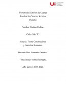 Teoría Constitucional y Derechos Humanos