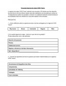 Encuesta Agencia de viajes VIVID Travel