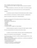 Nueva y sustentable construcción que fue realizada en Chile