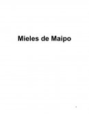 Mieles de Maipo