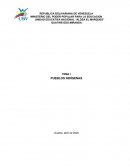 PROCESO HISTÓRICO DE LOS PUEBLOS INDÍGENAS