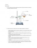 La filtracion