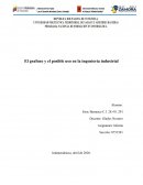 El grafeno y el posible uso en la ingeniería industrial