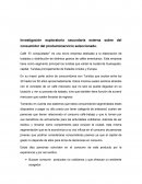 Investigación exploratoria secundaria externa sobre del consumidor del producto/servicio seleccionado