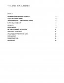 Vuelo 9633 Yak Service