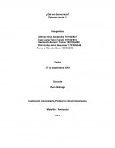 ¿Qué es democracia?