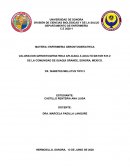 ENFERMERIA GERONTOGERIATRICA
