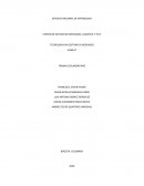 Trabajo colaborativo en la etapa lectiva