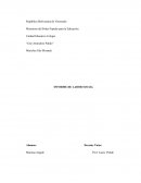 Informe de Labor Social