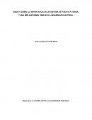 Ensayo sobre la importancia de la puesta a tierra