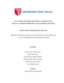 PROYECTO DE INSTALACIÓN DE UNA CICLOVÍA DE ACCESO PÚBLICO EN LA AV. UNIVERSITARIA DEL DISTRITO DE COMAS