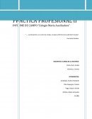 PRÁCTICA PROFESIONAL II INFORME DE CAMPO “Colegio María Auxiliadora”