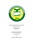 Ensayo temas relacionados a la criminologia