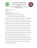 Importancia de la organización social en la actualidad