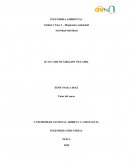 Unidad 1: Fase 3 – Diagnostico ambiental