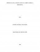 IMPORTANCIA DE LA COMUNICACIÓN EN EL ÁMBITO LABORAL Y PROFESIONAL