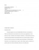 FEMINICIDIO EN MÉXICO