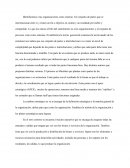 Identificamos a las organizaciones como sistema