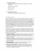 Investigaciones de mercado sugerida para detectar segmentos con necesidades insatisfechas