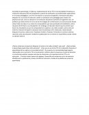 EVIDENCIA DE LAS TIC