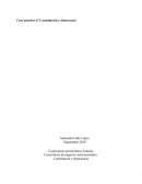 Caso practico nº3 constitución y democracia