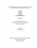 INFORME PRELIMINAR EMPRESA AGROMETALICA S.A APLICANDO HERRAMIENTAS DE LA PLANEACIÓN ESTRATEGICA