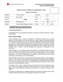 FINANZAS CORPORATIVAS. Caso: Luciana’s Bags