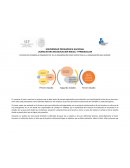 ESTADIOS DE DESARROLLO ORGANIZATIVO: DE LA ORGANIZACIÓN COMO ESTRUCTURA A LA ORGANIZACIÓN QUE APRENDE