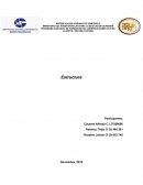 PROGRAMA NACIONAL DE FORMACIÓN EN CONSTRUCCIONES CIVILES